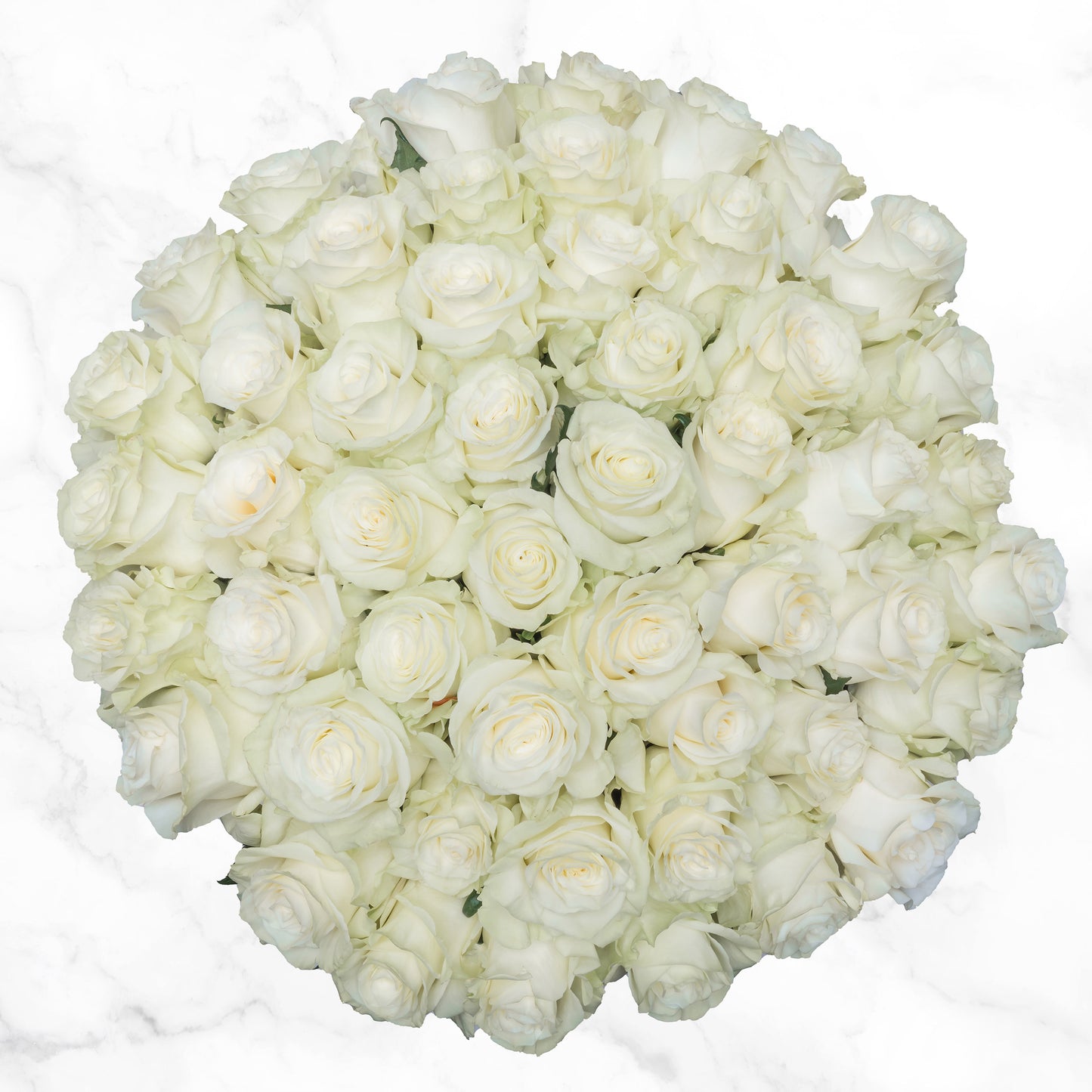 Valentine'S Day 50-Stem White Roses