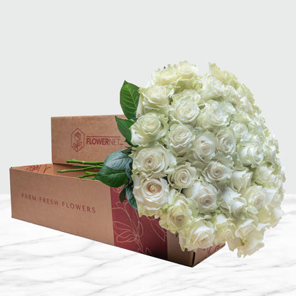 Valentine'S Day 50-Stem White Roses